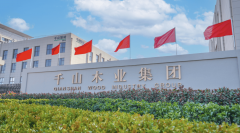 板材正在产物研发上不竭加大投入力度